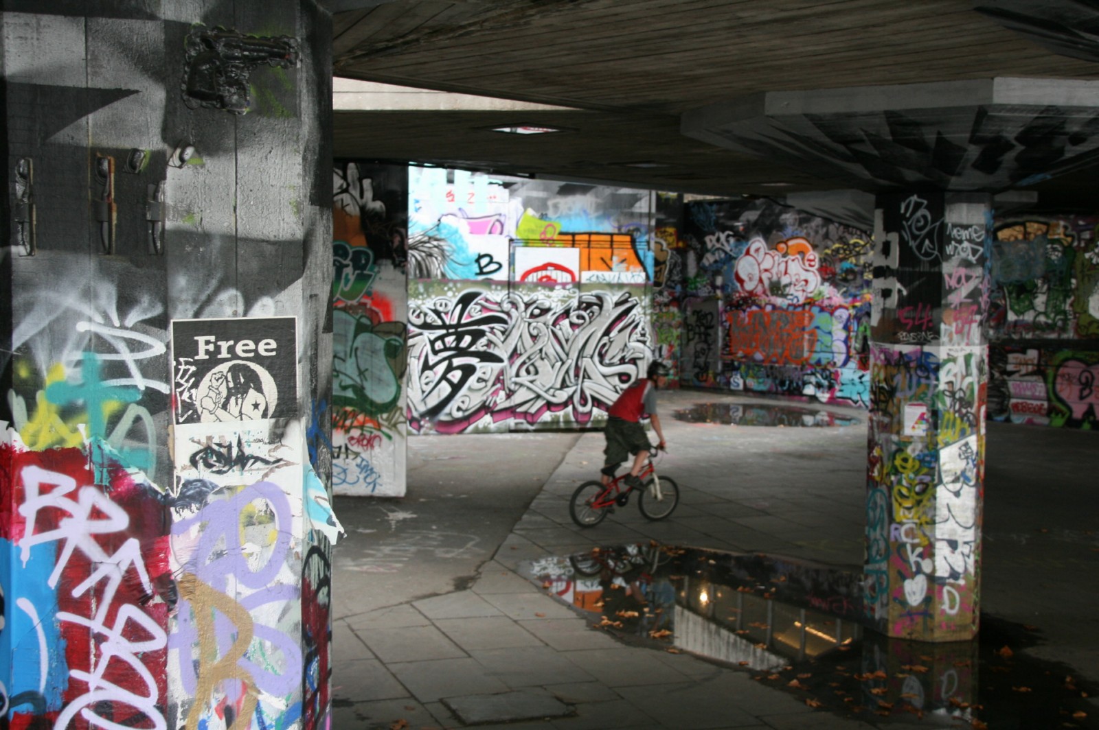 IMG 8510 [1600x1200]